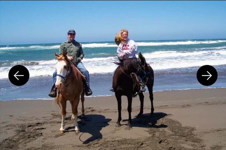 .Beach Horse Riding Turtle Release Crocodile Farm Experience - Practical advice before you go