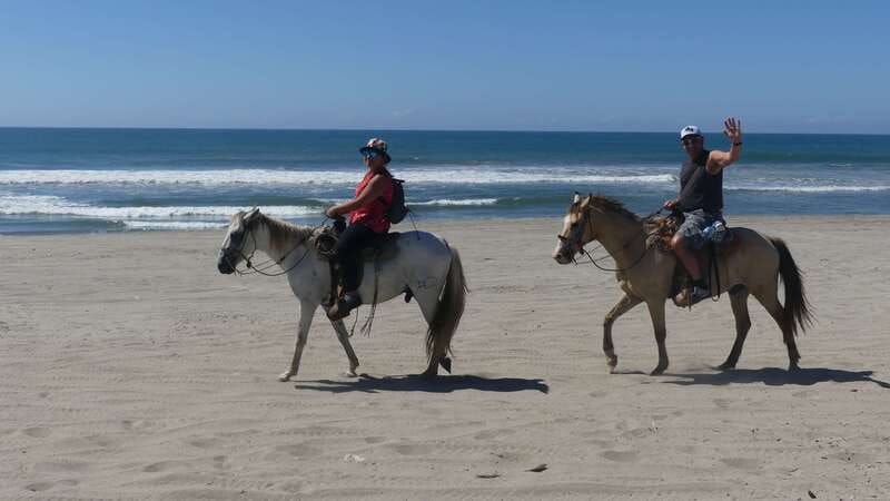 .Beach Horse Riding Turtle Release Crocodile Farm Experience - The Vallarino Turtle Camp and a short release ceremony