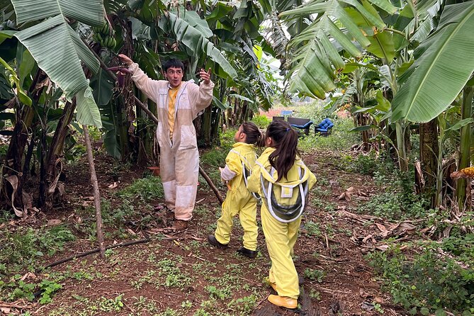 Bee Farm Ecotour and Honey Tasting in Waialua, North Shore Oahu - A short lesson before you meet the bees