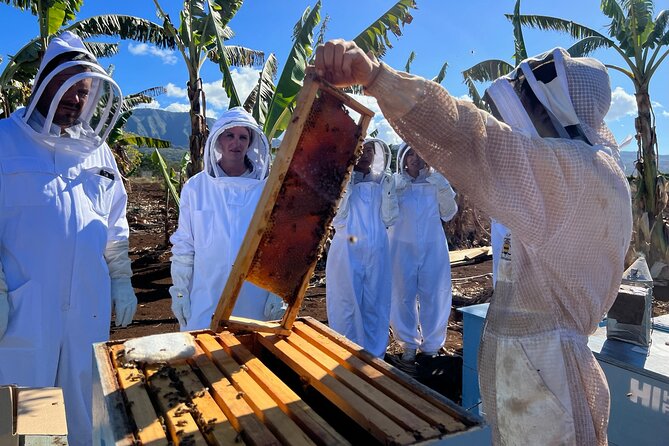Bee Farm Ecotour and Honey Tasting in Waialua, North Shore Oahu - Is the $135 price worthwhile?