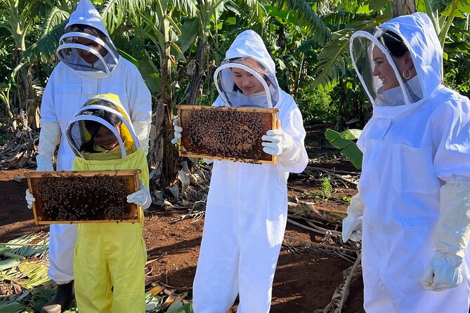 Bee Farm Ecotour and Honey Tasting in Waialua, North Shore Oahu - The strongest part of the morning