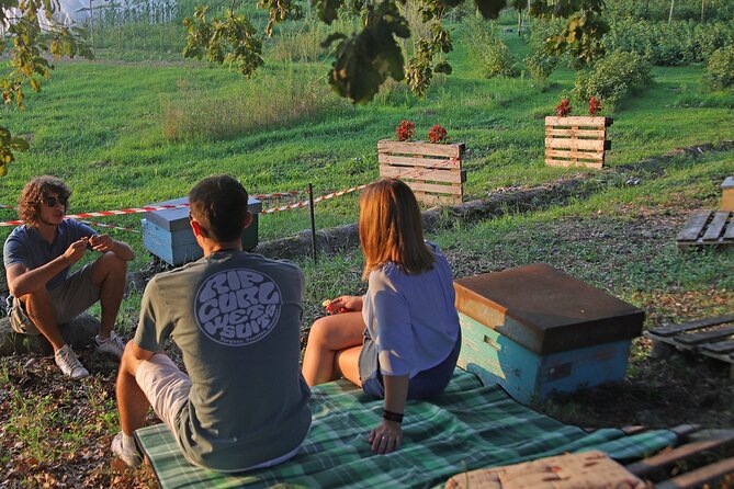 Beekeeping Farm Tour and Tasting Experience in Lazise - Tasting three honeys from Lazise