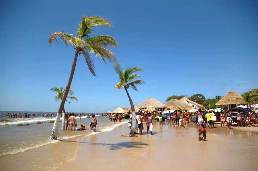 Belém: Marajó Island Day Trip with Buffalo Farm Visit - Key points to know before booking