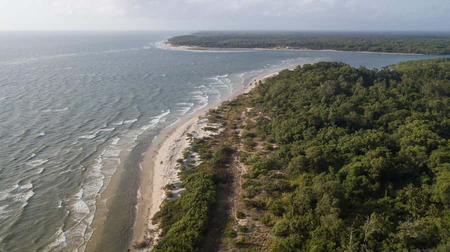 Belém: Marajó Island Day Trip with Buffalo Farm Visit - Seeing Salvaterra, açaí, and Grande Beach