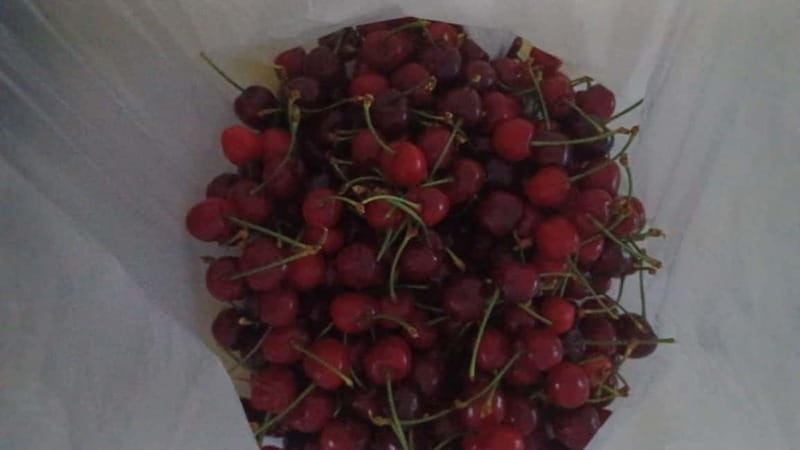 Berat: Farm-to-Table Cooking Class with Local Family - Why the guide matters