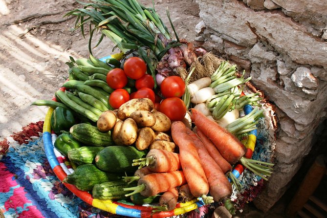 Berber Cooking Class at a Farm in the Countryside & shopping at a rural Souk. - Preparing goat tagine with farm ingredients
