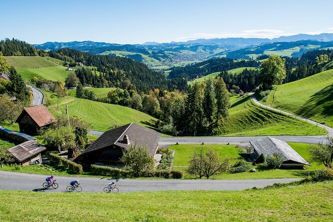 Bern Small-Group Day Trip from Lucerne With Emmental Dairy Visit - What the $245.37 price really buys