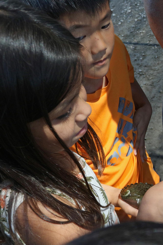 Big Island: Abalone Farm Guided Tour with Tasting - Grilled abalone in the shell