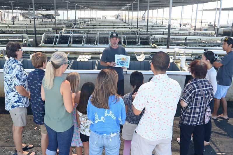 Big Island: Abalone Farm Guided Tour with Tasting - Who will enjoy this farm visit most