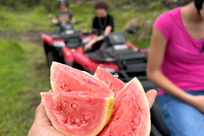 Big Island ATV Tour at Ohana Ranch - What kind of ATV tour is this?