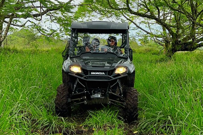 Big Island Family Off Road Farm Adventure at Ohana Ranch - Fruit, coffee, taro, and farm traditions