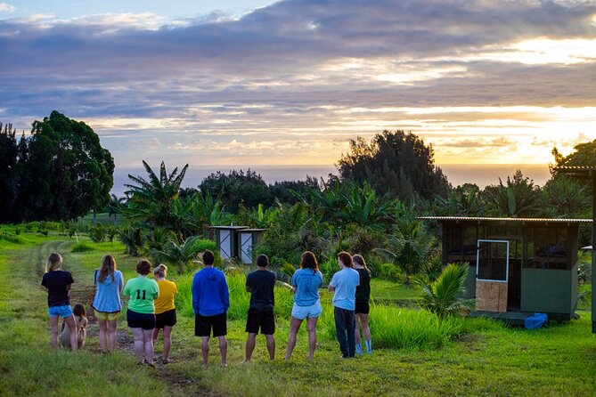 Big Island Farms Tour in Hawaii - Key Points to Know Before You Go