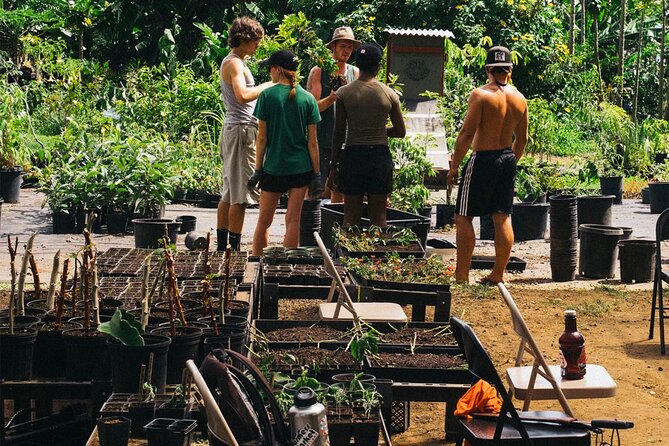Big Island Farms Tour in Hawaii - A One-Hour Farm Walk in Honokaa