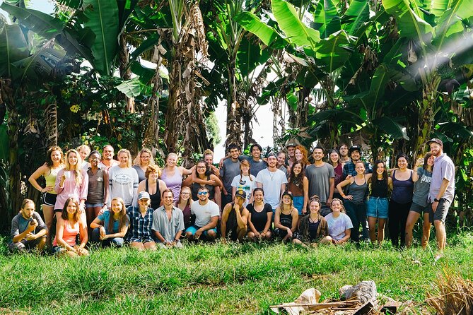 Big Island Farms Tour in Hawaii - Timing, Weather, and Group Size