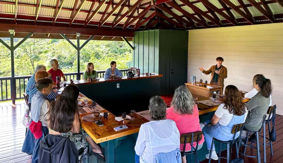 Big Island Hawaii: Craft Chocolate Tasting and Farm Tour - Why cacao fermentation matters so much