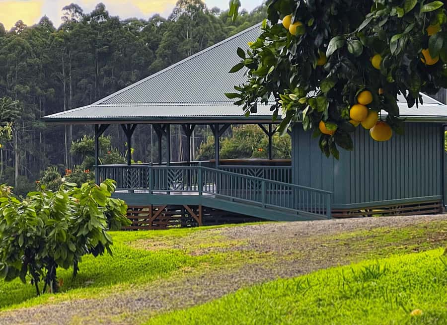 Big Island Hawaii: Craft Chocolate Tasting and Farm Tour - Who should book this experience?