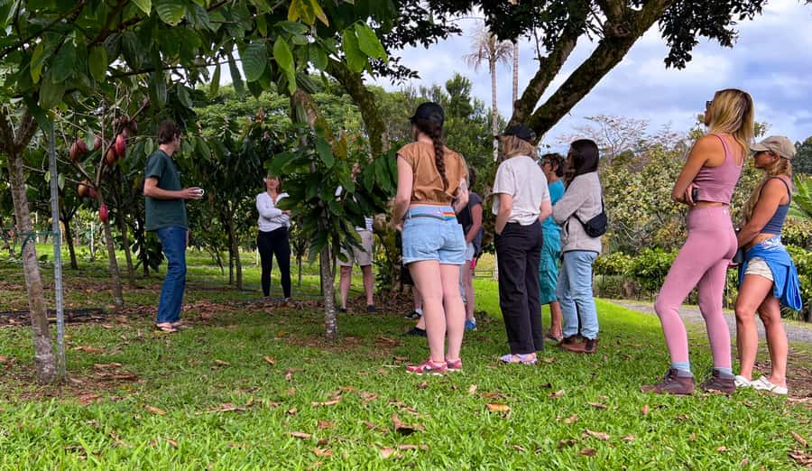 Big Island Hawaii: Craft Chocolate Tasting and Farm Tour - Book it or skip it?