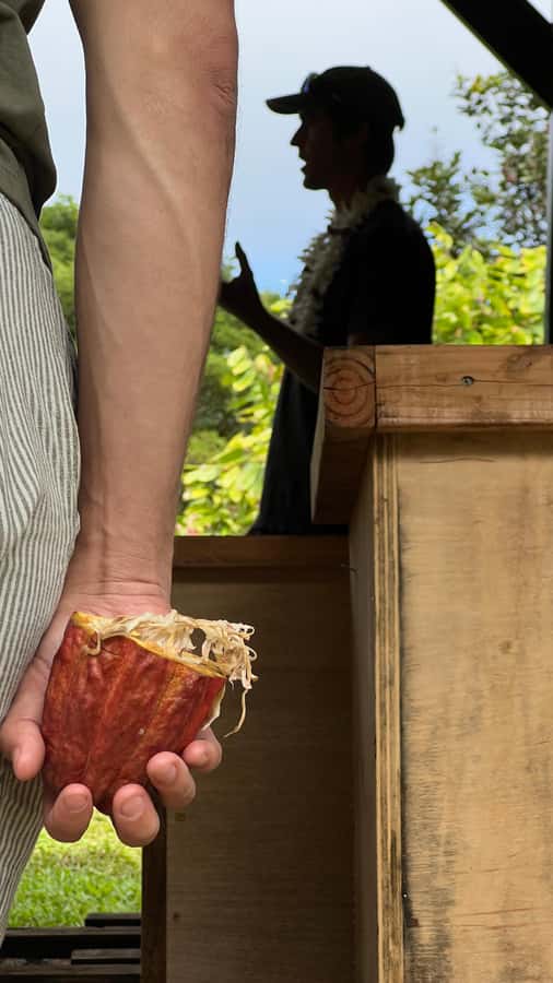 Big Island Hawaii: Craft Chocolate Tasting and Farm Tour - FAQ