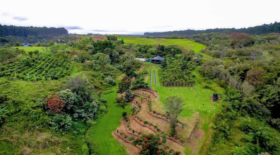 Big Island Hawaii: Craft Chocolate Tasting and Farm Tour - The orchard walk and Hawaii’s working farmland