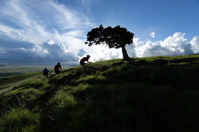 Big Island Mountain Biking on Anna Ranch - Key points to know before you book