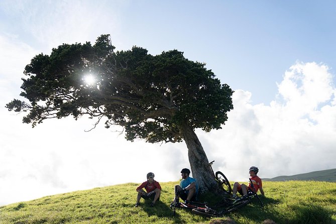 Big Island Mountain Biking on Anna Ranch - Coasting back past lava rock and open fields