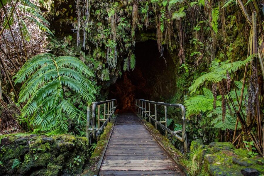 Big Island: Volcanoes, Waterfalls, & Coffee Farm Day-Trip - Guides make or break a very full schedule
