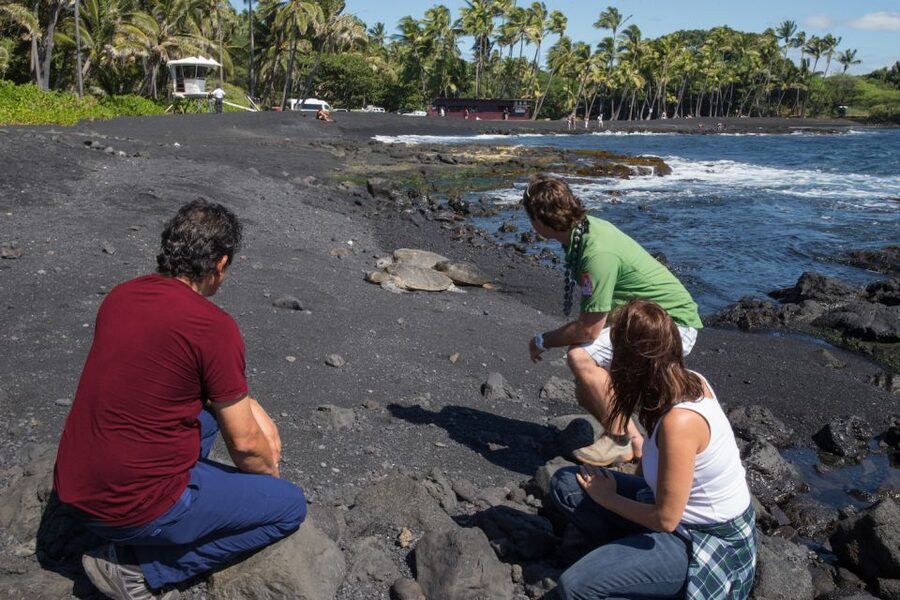 Big Island: Volcanoes, Waterfalls, & Coffee Farm Day-Trip - One long day that shows off the Big Island