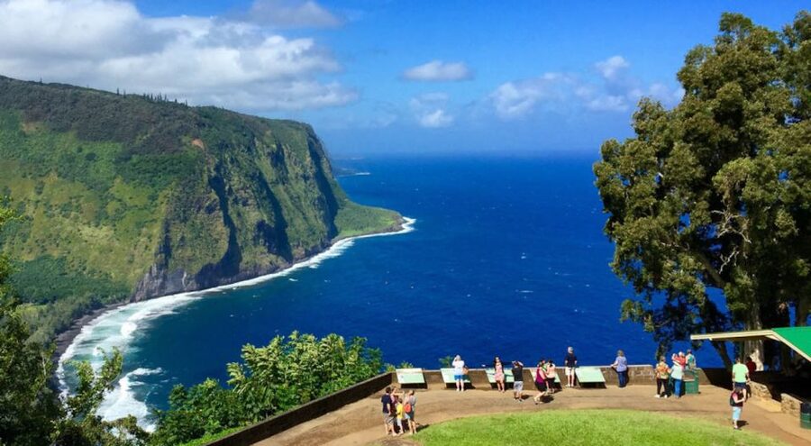 Big Island: Volcanoes, Waterfalls, & Coffee Farm Day-Trip - Punalu’u combines black sand, lunch, and a chance to spot honu