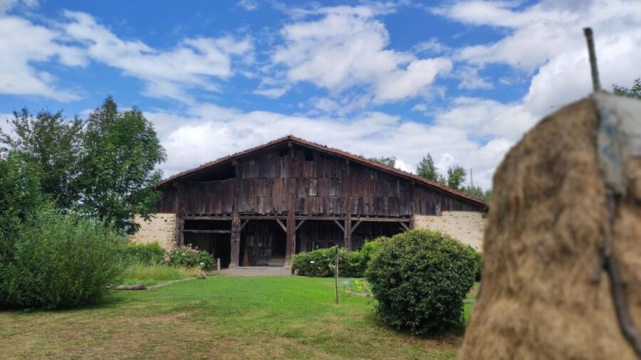 Bilbao: San Sebastian, Getaria, and Basque Farmhouse Tour - A living lesson at Igartubeiti farmhouse