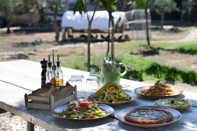 Bio Farm Private Olive Oil Tasting, Farm to Fork Meal & Temple of Poseidon Tour - Seeing the Temple of Poseidon above the sea