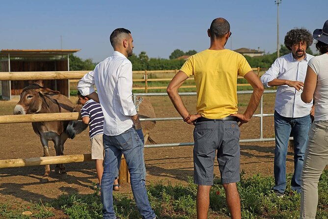 Biodynamic Farm and Natural Wines Tasting in Lazise - Key points to know before booking