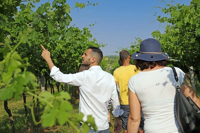 Biodynamic Farm and Natural Wines Tasting in Lazise - A farm visit with wine at its center
