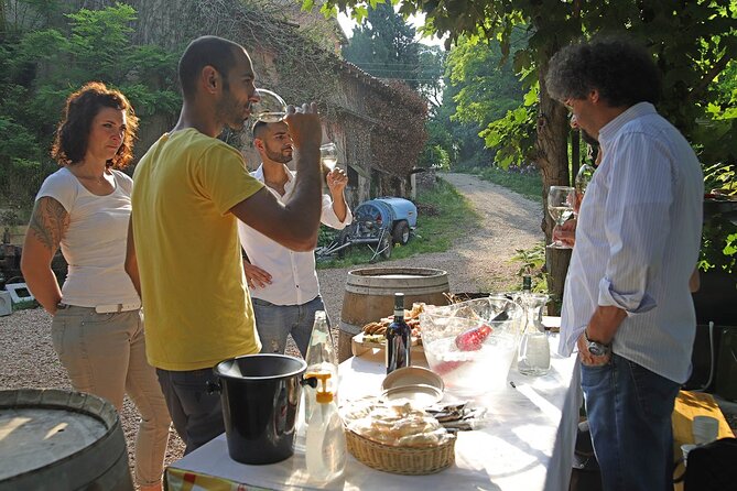 Biodynamic Farm and Natural Wines Tasting in Lazise - How biodynamic farming shapes the visit