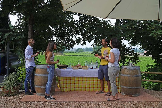 Biodynamic Farm and Natural Wines Tasting in Lazise - Tasting four wines on the vineyard terrace