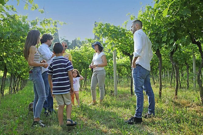 Biodynamic Farm and Natural Wines Tasting in Lazise - Cold cuts, cheeses, and bread from the Verona area