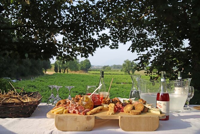 Biodynamic Farm and Natural Wines Tasting in Lazise - Is the $50.47 price good value?