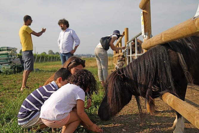 Biodynamic Farm and Natural Wines Tasting in Lazise - Who will enjoy this Lazise experience?
