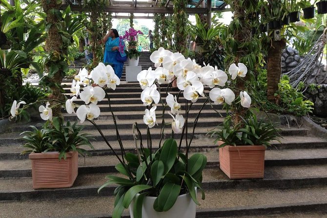 Bird Park & Butterfly Farm Nature Include All Entrance Tour From Kuala Lumpur - Why private transport changes the experience