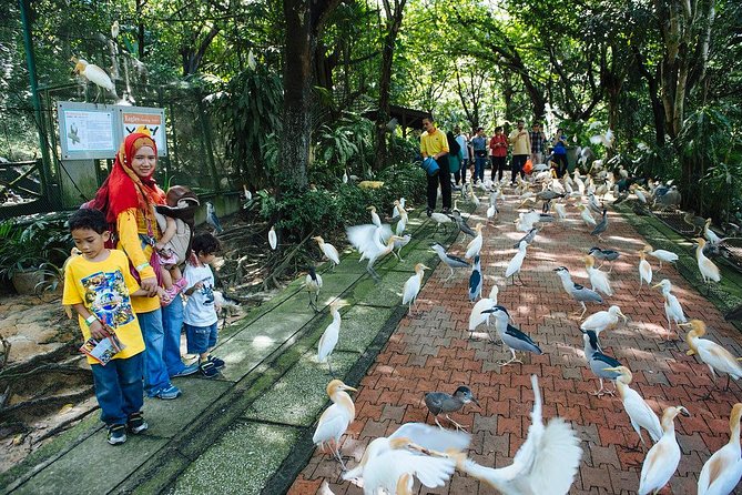 Bird Park & Butterfly Farm Nature Include All Entrance Tour From Kuala Lumpur - Is $74 per person fair value?