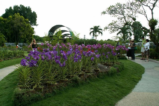 Bird Park & Butterfly Farm Nature Include All Entrance Tour From Kuala Lumpur - Kuala Lumpur Bird Park: close encounters with free-flying birds