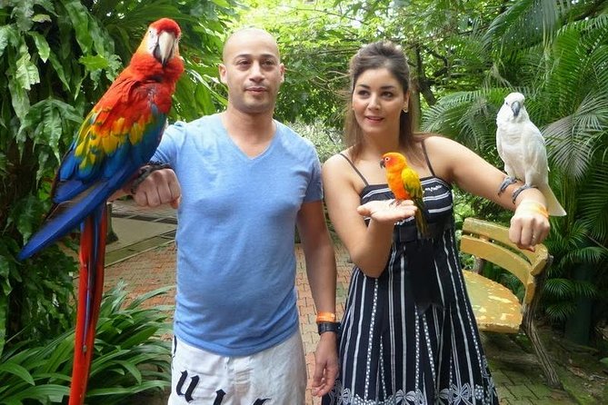 Bird Park & Butterfly Farm Nature Tour From Kuala Lumpur - Should You Book This Kuala Lumpur Nature Tour?