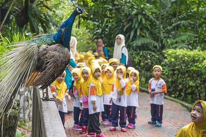 Bird Park & Butterfly Farm Nature Tour From Kuala Lumpur - Taman Orkid and More Than 800 Orchid Varieties