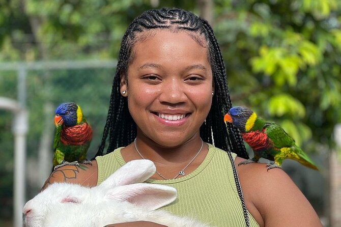 Bird Sanctuary and animal farm Day Tour - Hand-feeding hummingbirds in Anchovy