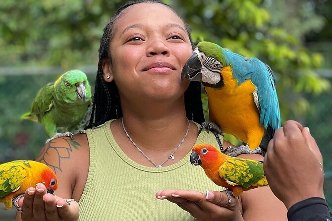 Bird Sanctuary and animal farm Day Tour - The animal farm adds variety