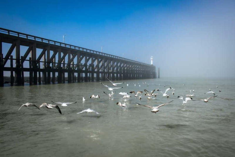 Blankenberge: Offshore Wind Farm Tour by Boat - Meeting point, booking, and cancellation