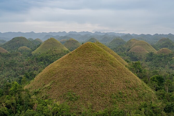 Bohol Chocolate Making and Farm Tour - From Chocolate Hills to Bohol’s cacao country