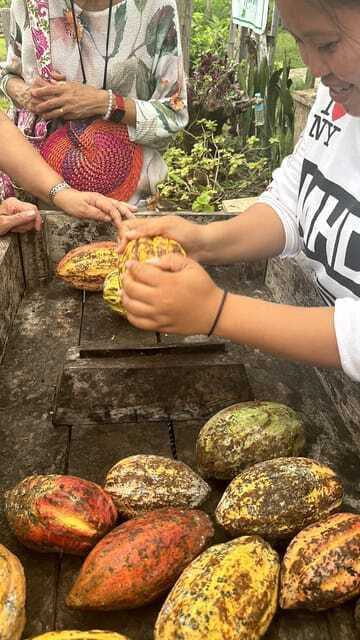 Bohol Chocolate Making and Farm Tour - Snacks, Fruit, and the Value of the Farm Setting