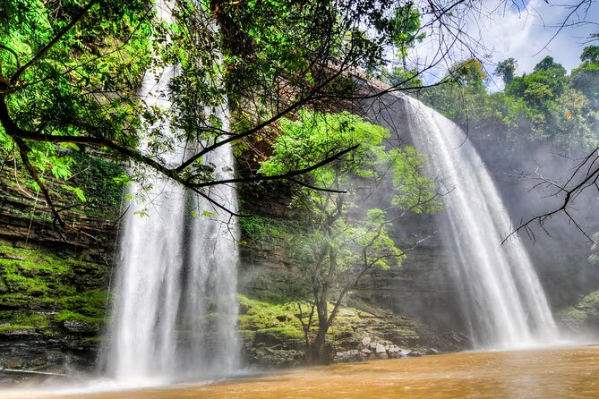 Boti Falls, Umbrella Rock, Aburi Gardens & Cocoa Farm Day Tour - Tetteh Quarshie Cocoa Farm and the taste of fresh cocoa