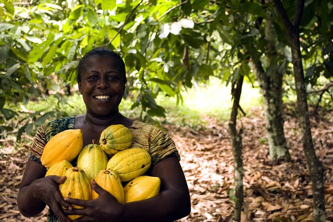 Boti Falls, Umbrella Rock, Aburi Gardens & Cocoa Farm Day Tour - Reaching Boti Falls through the forest