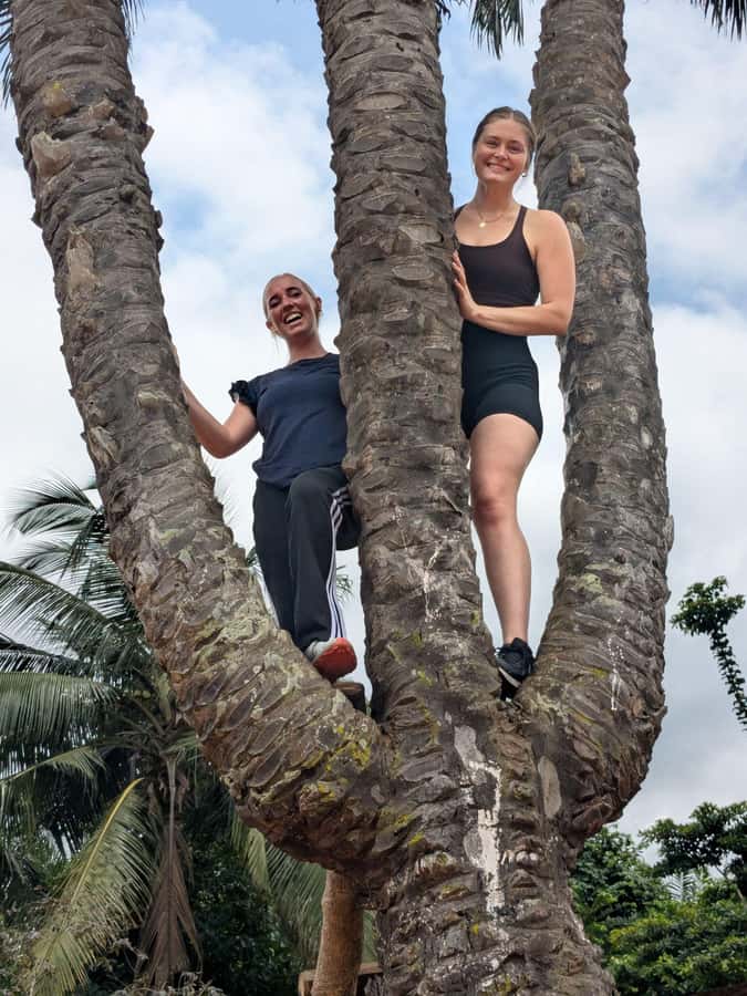 Boti Falls, Umbrella Rock, Aburi Gardens & Cocoa Farm Tour - Why this Eastern Region day trip works